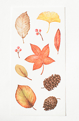 Papier - Akvarelový set - nálepky "jeseň" - 13023755_