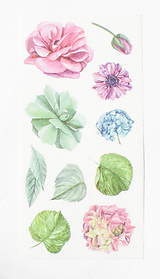 Akvarelový set - nálepky "floral"