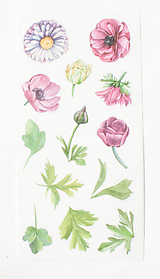 Papier - Akvarelový set - nálepky "floral" - 13023800_