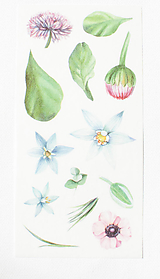 Papier - Akvarelový set - nálepky "floral" - 13023806_