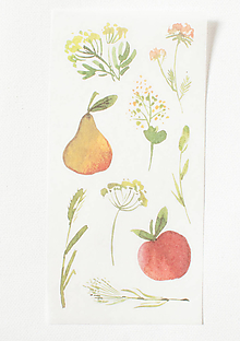 Papier - Akvarelový set - nálepky "v záhrade" (C.) - 13023662_