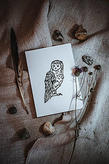 Papier - Grafika ,,Sova" - 13023424_