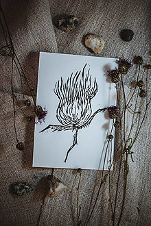 Papier - Grafika ,,Bodliak" - 13023442_