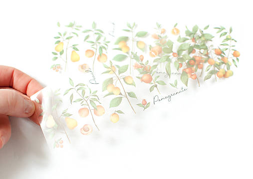 Iný materiál - Transparentné nálepky - ovocie "ako živé" (Peach) - 13025429_
