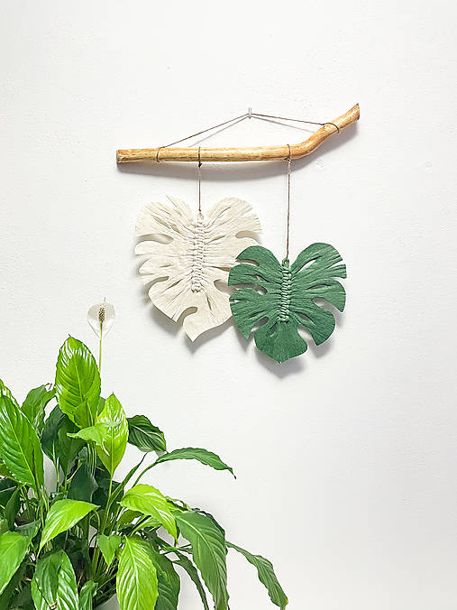 Dekorácie - Makramé monstera - 13031179_