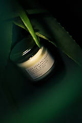 Sviečky - Sójová Aloe vera sviečka - antialergent - 13039977_