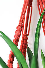 Dekorácie - Makramé držiak na kvetináč // Jarabina - 13059044_