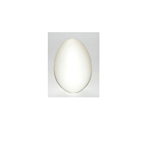 Polotovary - Plastové vajíčko - 13070828_