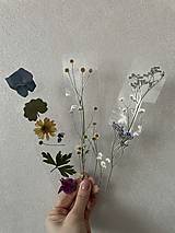 Papiernictvo - Záložky - lisované kvety  (Mix rastlín) - 13084203_