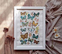 Kresby - Motýle - akvarel - 13085791_