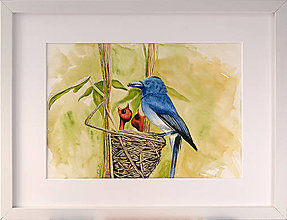 Obrazy - Originál akvarel - Modrý vták v hniezde - 13112030_