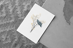 Grafika - Plagát-Kytice suchých kvetov - 13114138_