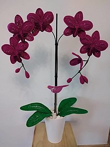 Dekorácie - Orchidea bordová - 13118126_
