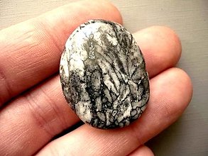 Minerály - Placka - pinolit 33 mm, č.149f - 13125480_