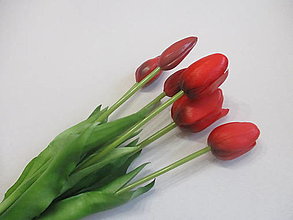 Iný materiál - Tulipány (Červená) - 13134532_