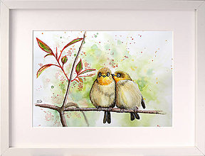 Obrazy - Originál akvarel - párik vtákov na konári - 13140523_