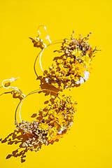 Náušnice - Kvetinové kruhové náušnice "dotyk slnka 1" - 13141707_