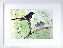 Obrazy - Originál akvarel - čierny vták s mláďatami na konári - 13154482_