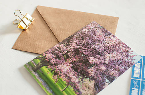 Papiernictvo - Eco-pohľadnica "Zakvitnutá čerešňa" - 13160980_
