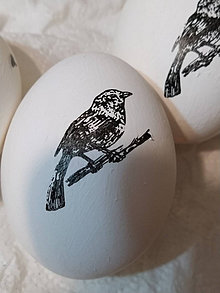 Dekorácie - Veľkonočné vajíčko - vtáčik - 13161590_