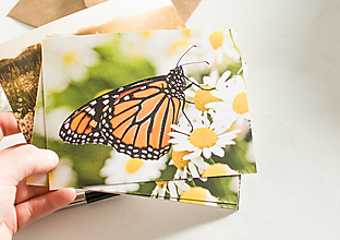 Papiernictvo - Eco-pohľadnica "Motýľ" - 13161342_