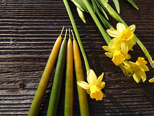  - Jarné máčané sviečky NARCIS (4ks) - 13202459_