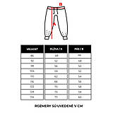 Detské oblečenie - Softshellové nohavice - check black - 13209753_