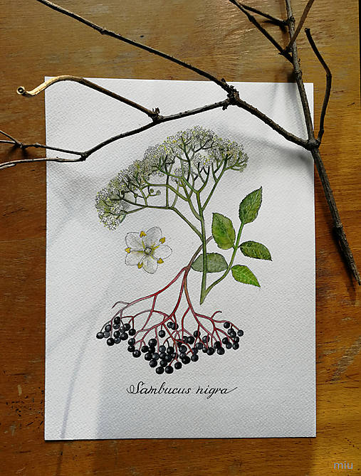 Obrazy - Obraz Baza čierna (21x29,7cm) - 13249364_