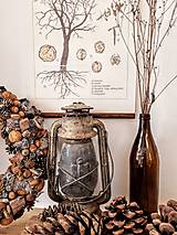 Obrazy - Botanický plagát - orech s hnedými drevkami a špagátom - 13246844_