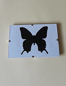 Dekorácie - Motýlik v skle (10x15 cm - Biela) - 13251374_