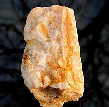 Minerály - Skamenelé drevo  (W2 60g) - 13257211_