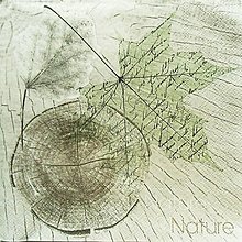 Papier - S807 - Servítky - drevo, list, ginkgo, nature - 13286234_