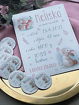 Tabuľky - Tabuľka pre bábätko s údajmi o narodení zajko - 13292692_