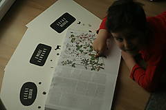 Hračky - Poster na doplnenie vylisovaných bylín alebo ich dokreslenie s 3 prírodnými témami - jpg. na stiahnutie. - 13292072_