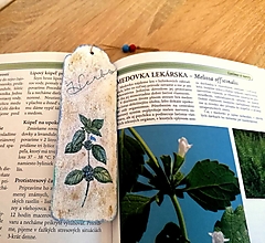 Papiernictvo - drevená záložka do knihy Herbs - 13306731_