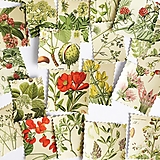 ozdobné nálepky Pošta z botanickej záhrady I (22 ks)