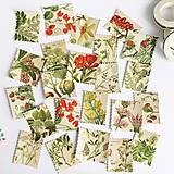 Papier - ozdobné nálepky Pošta z botanickej záhrady I (22 ks) - 13307478_