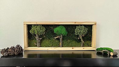 Obrazy - Obraz z machu 6: Tri stromy (60 x 24 cm) - 13324330_