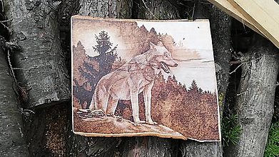 Obrazy - Vlk v lese - 13341794_