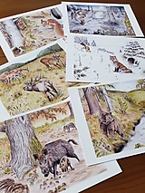 Papiernictvo - Pohľadnice Lesné zvieratá - 13341174_