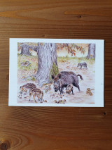 Papiernictvo - Pohľadnice Lesné zvieratá - 13341175_