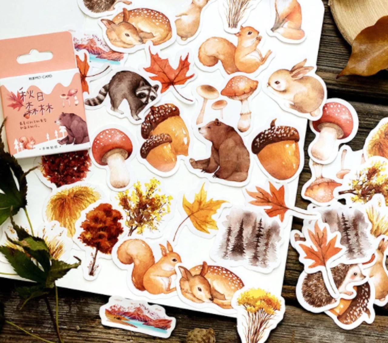 NA104 Krabička nálepiek - lesné zvieratká a plody 45 kusov