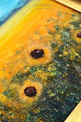 Obrazy - Arttexový obraz "Milované slnečnice" - 13361037_