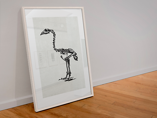  - Art Print-Paleontológia-Praveký vták (30x40 cm) - 13368028_