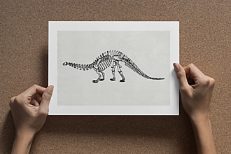 Grafika - Plagát| Paleontológia-Brachiosaurus - 13368603_