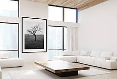 Fotografie - Fine Art Print "Osamelý strom" / "Alone tree" - 13385834_