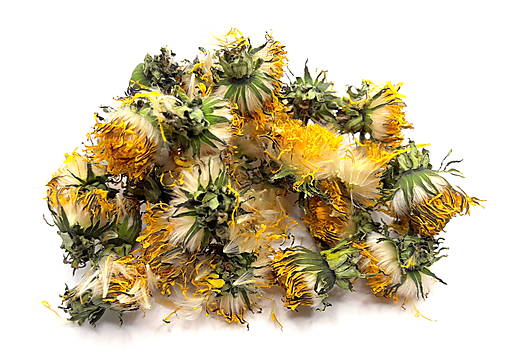 Bylinky - Púpavový kvet - 13389614_