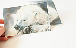 Papier - Pohľadnica "polar bear" - 13392787_