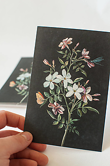 Papier - Pohľadnica "Flowering twig" - 13392742_