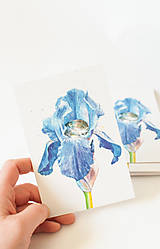Papier - Pohľadnica "Iris" - 13393461_